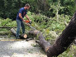 Seasonal Cleanup (Spring/Fall) in Moriches, NY